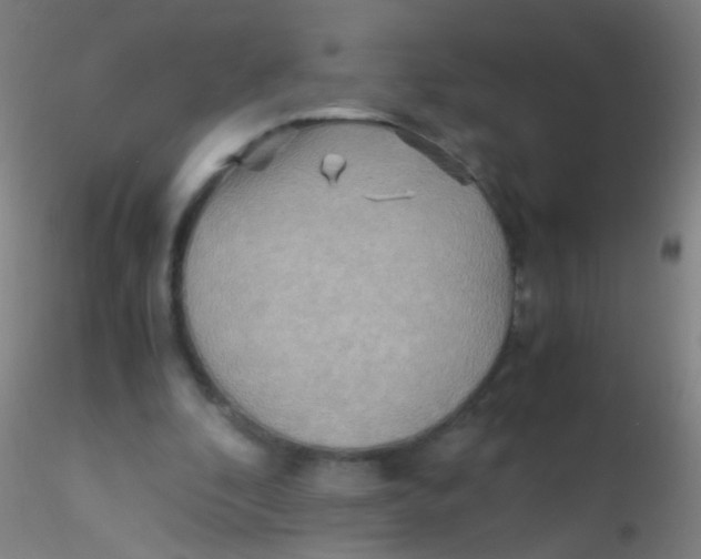 X0000115190296200911251426