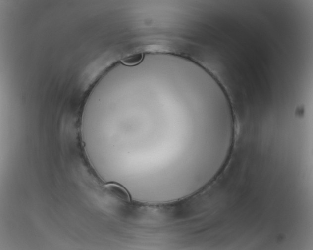 X0000115190297200911251426