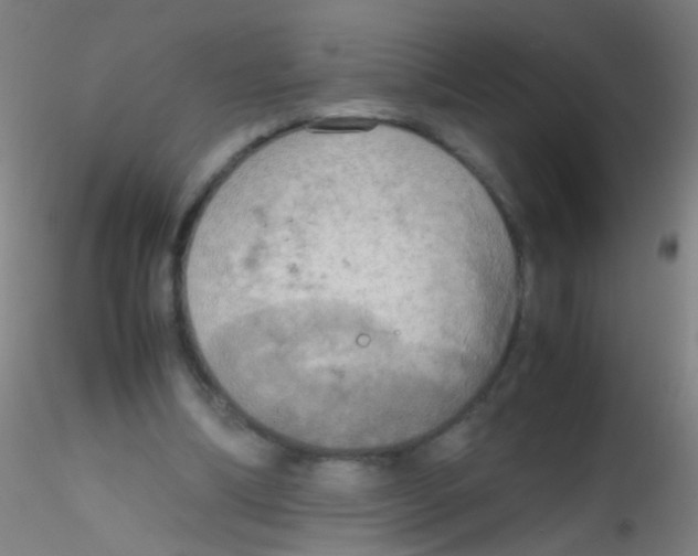 X0000115190298200911251426