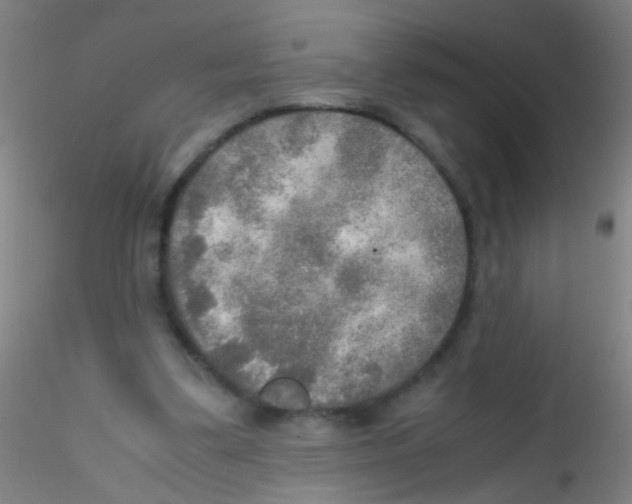 X0000115190299200911251426