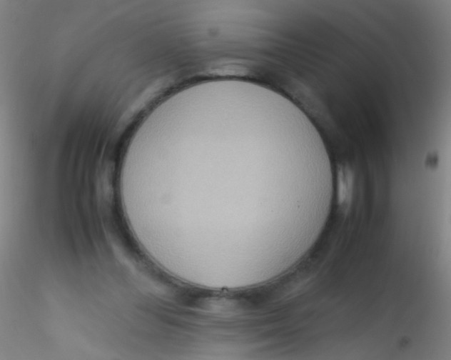 X0000115190300200911251426