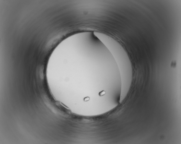 X0000115190302200911251426