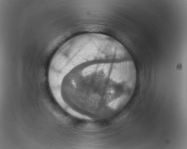 X0000115190303200911251426