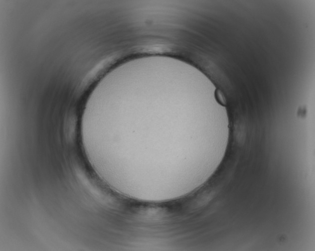 X0000115190304200911251426