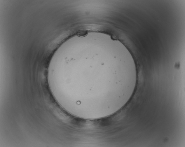 X0000115190305200911251426