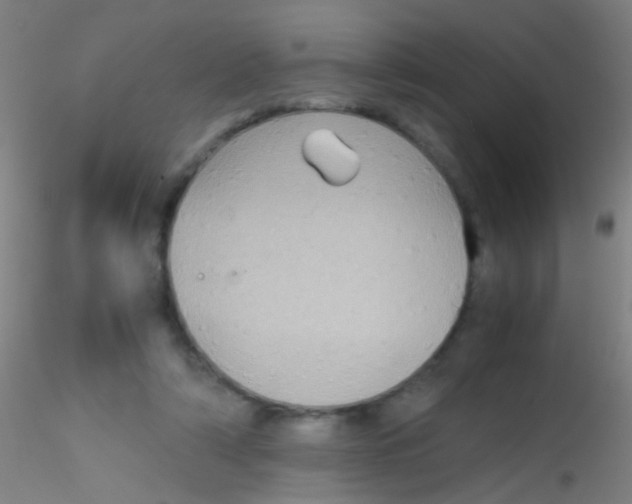 X0000115190306200911251426