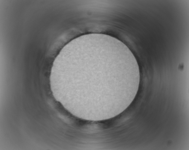 X0000115190307200911251426