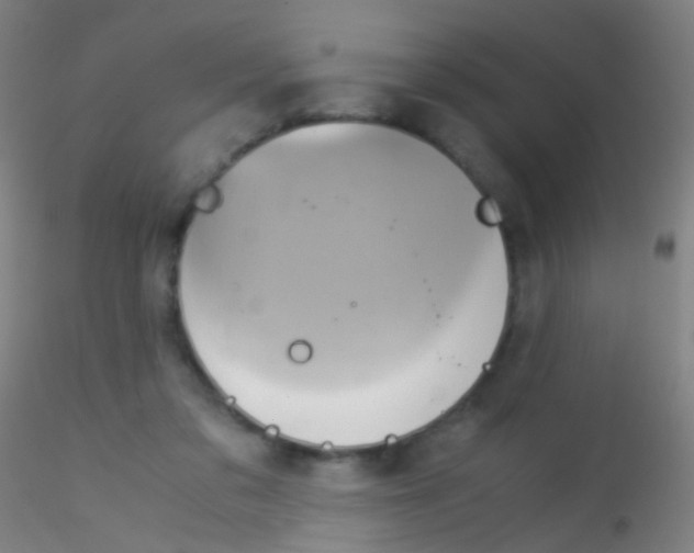 X0000115190309200911251426