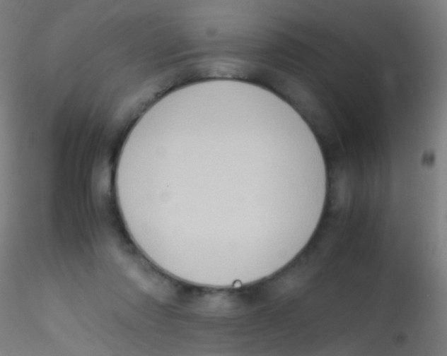 X0000115190310200911251426