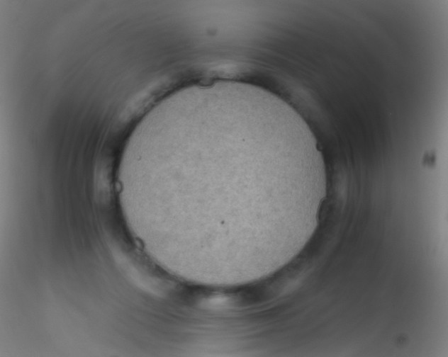 X0000115190312200911251426