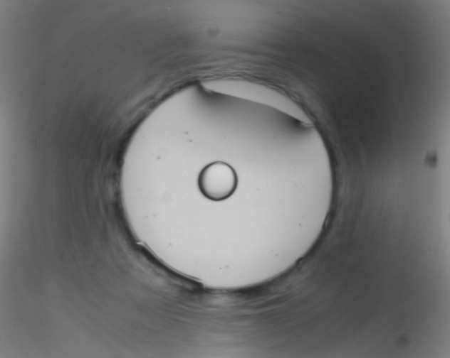 X0000115190313200911251426