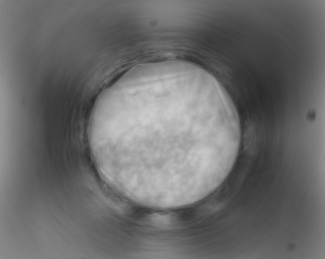 X0000115190314200911251425