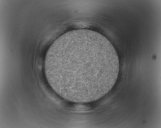 X0000115190315200911251425