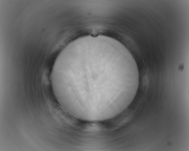 X0000115190316200911251425