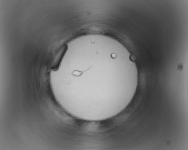 X0000115190318200911251425