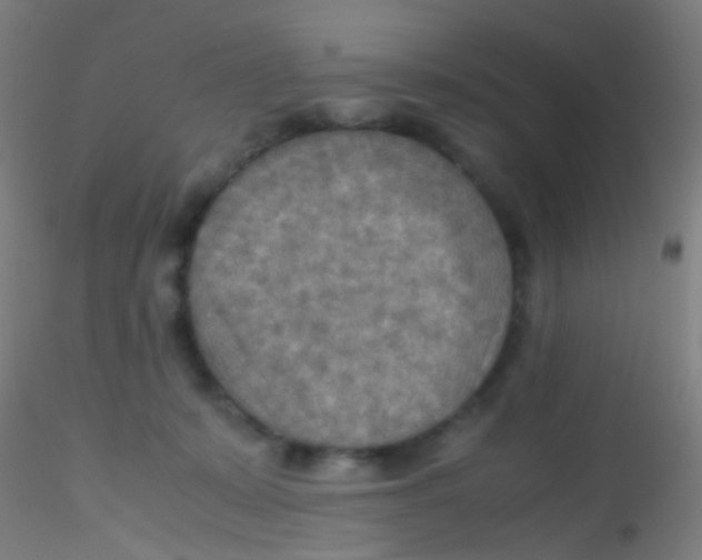 X0000115190319200911251425