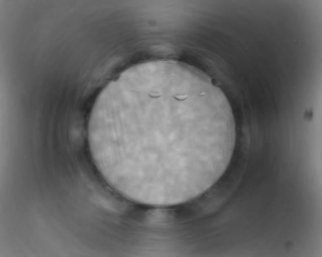 X0000115190320200911251425