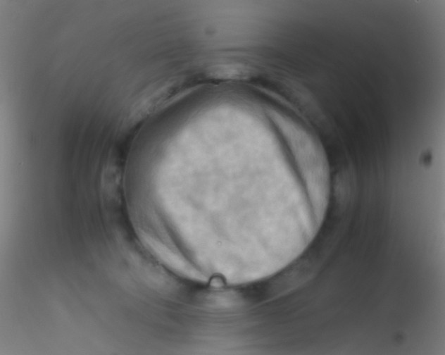 X0000115190322200911251425