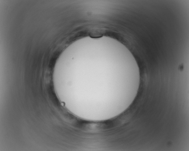 X0000115190323200911251425