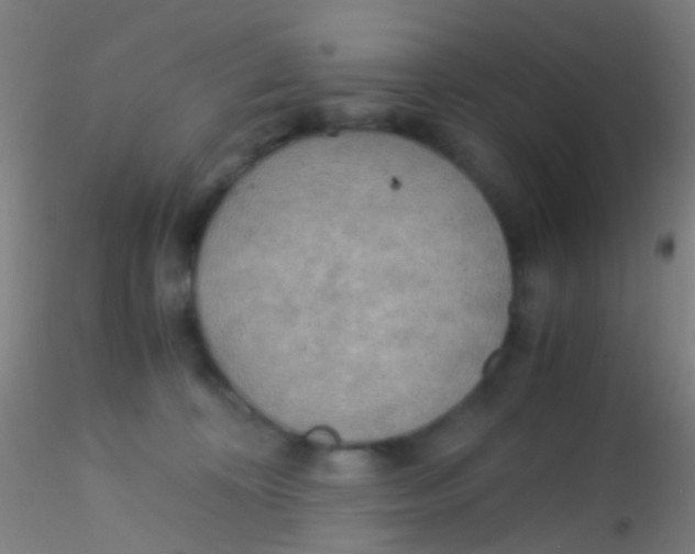 X0000115190324200911251425