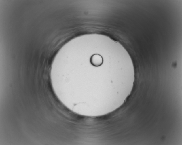 X0000115190325200911251425