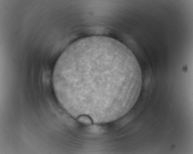 X0000115190326200911251425