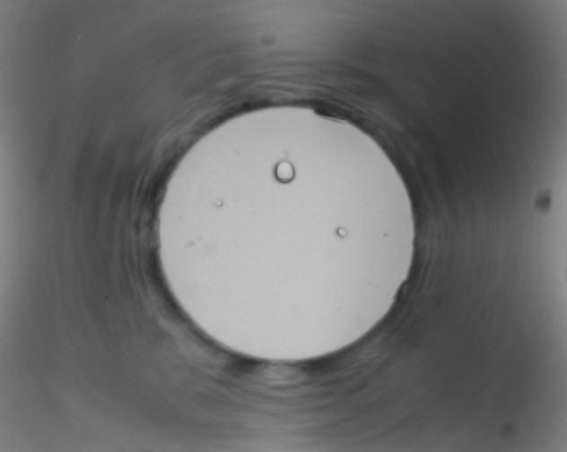 X0000115190327200911251425