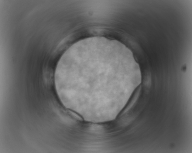 X0000115190332200911251425