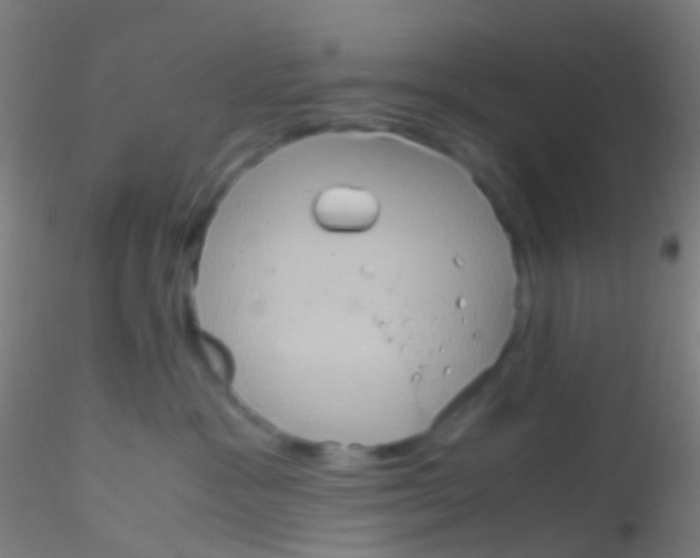 X0000115190333200911251425