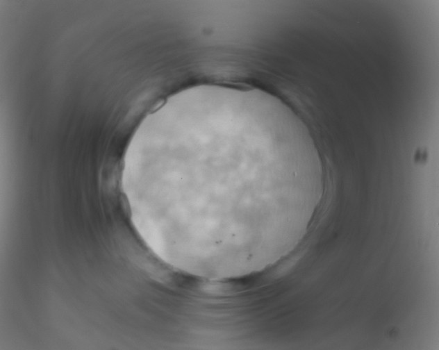 X0000115190336200911251425