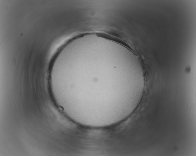 X0000115190342200911251424