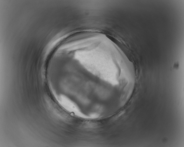 X0000115190343200911251424