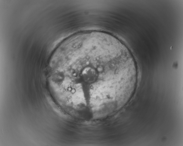 X0000115190345200911251424