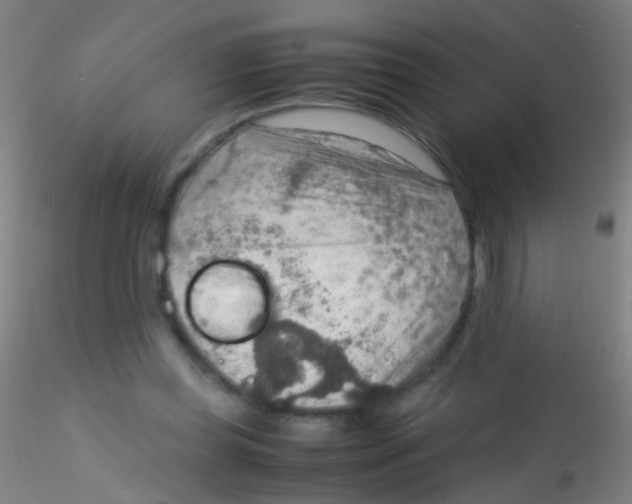 X0000115190349200911251425