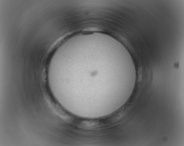 X0000115190351200911251425