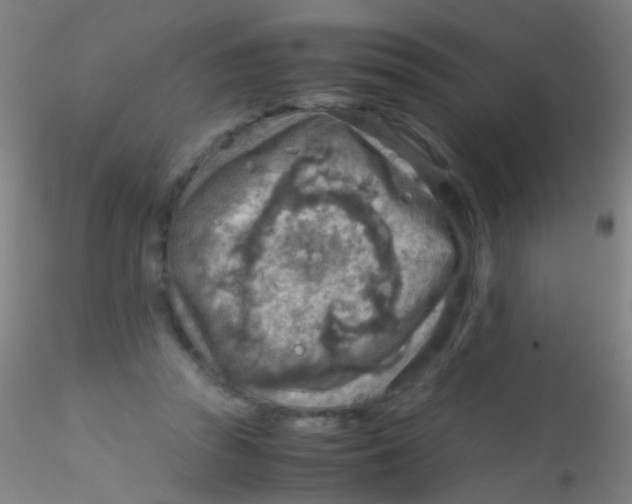 X0000115190353200911251425