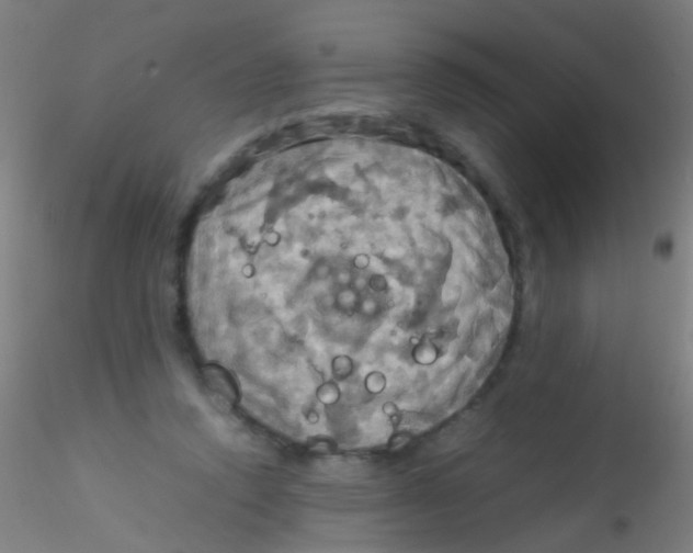 X0000115190354200911251425