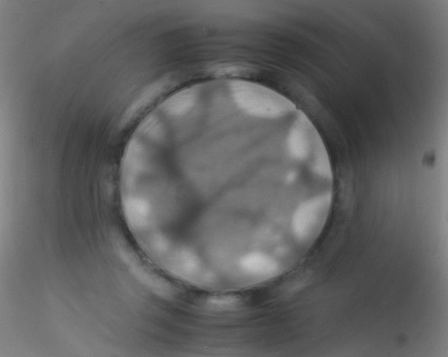 X0000115190357200911251425