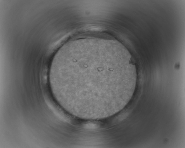 X0000115190358200911251425