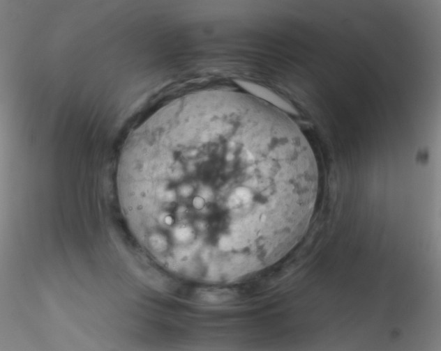 X0000115190359200911251425