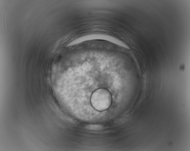 X0000115190361200911251425