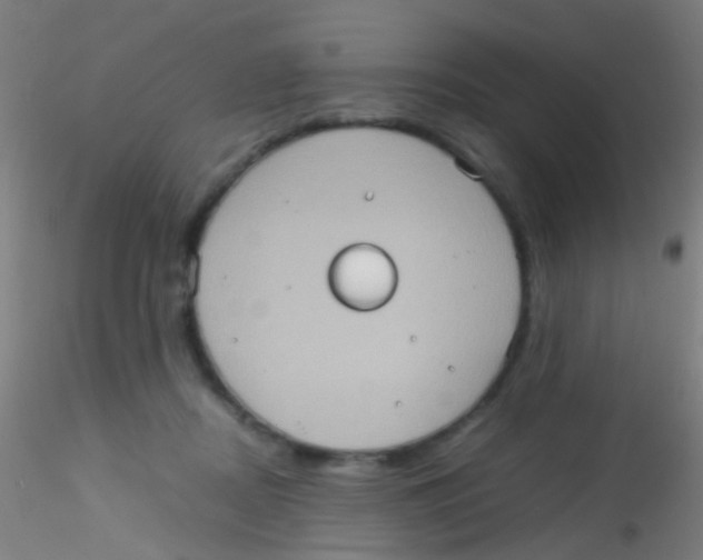 X0000115190362200911251425