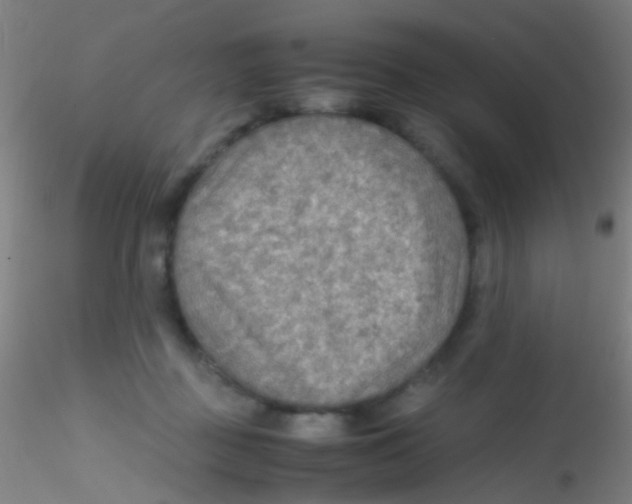 X0000115190363200911251425