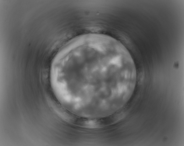 X0000115190365200911251425