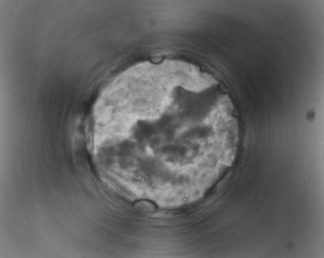 X0000115190366200911251425