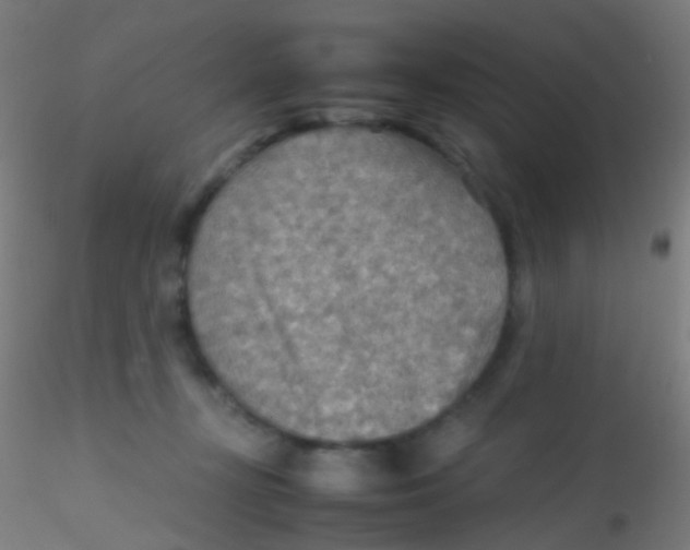 X0000115190367200911251425