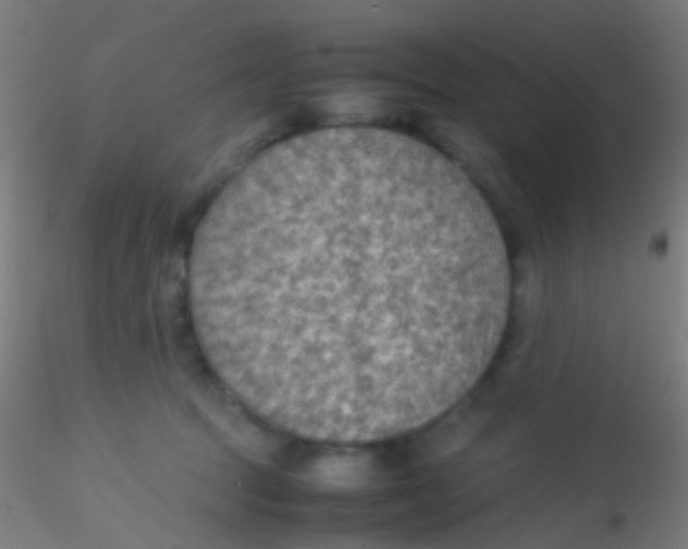 X0000115190369200911251425