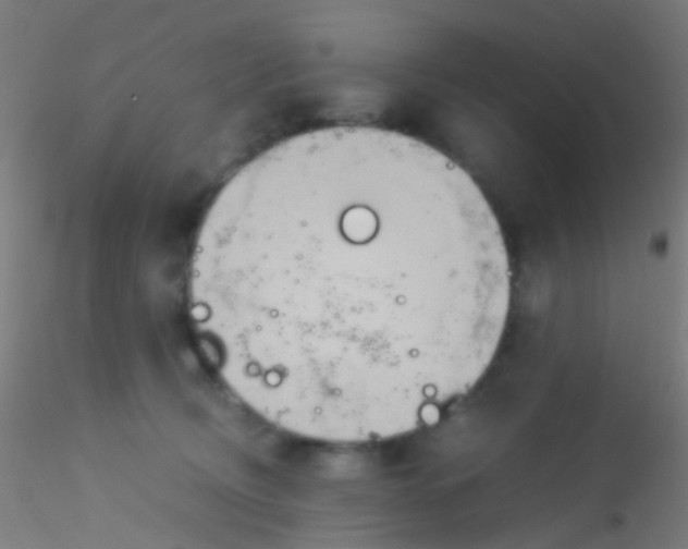 X0000115190370200911251425