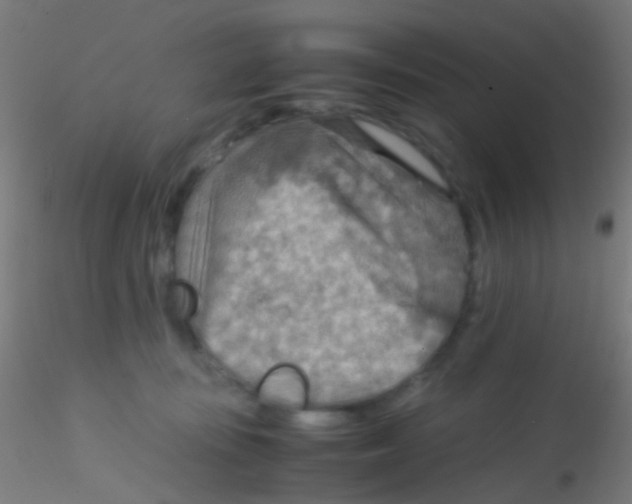 X0000115190371200911251425