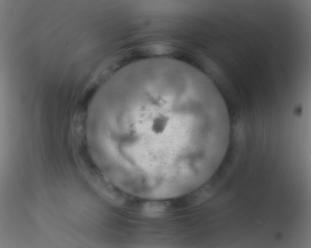 X0000115190373200911251425